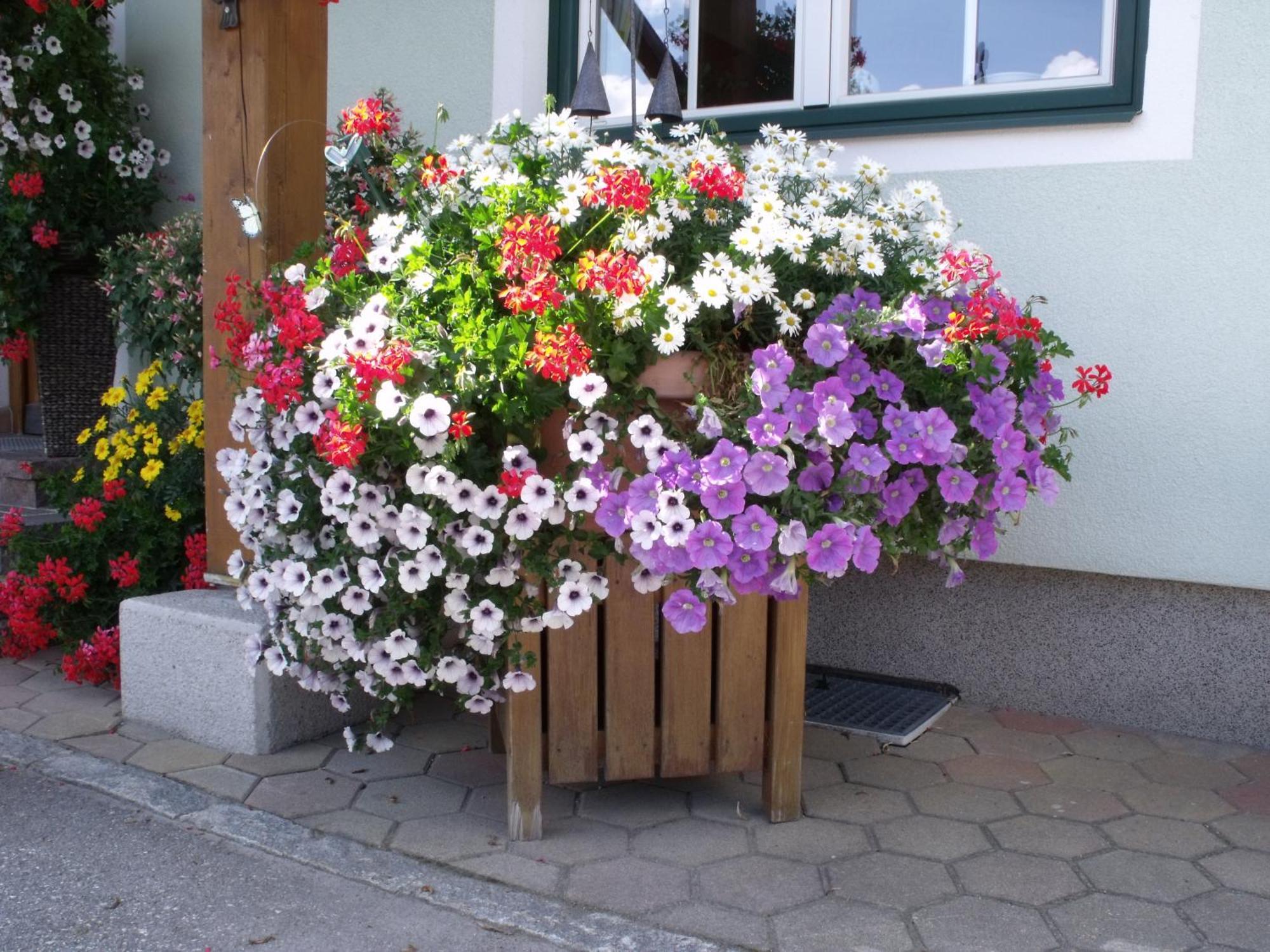 Appartements Bacherhof Schladming Exteriör bild
